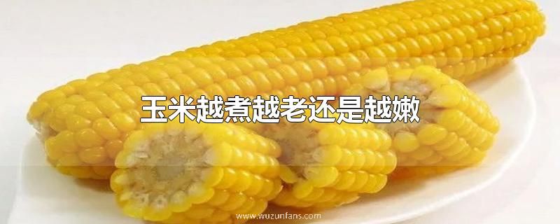 玉米越煮越老还是越嫩
