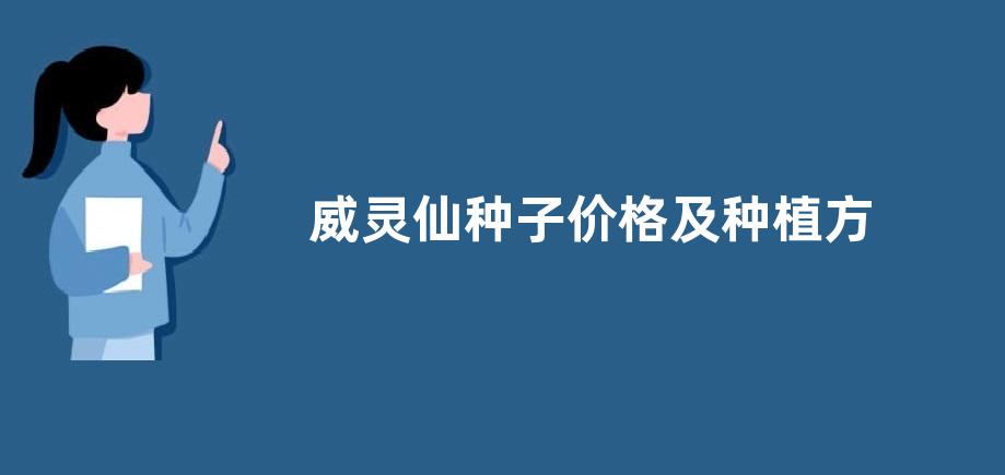 威灵仙种子价格及种植方法，附威灵仙的播种方法
