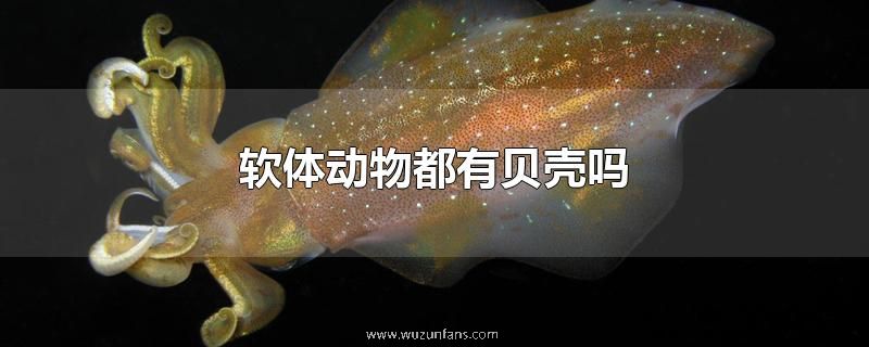 软体动物都有贝壳吗