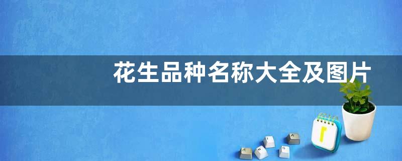 花生品种名称大全及图片（常见的高产花生品种简介）