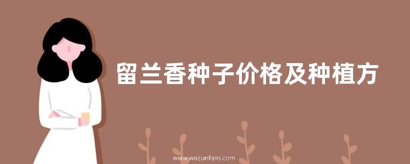 留兰香种子价格及种植方法，留兰香的生长习性