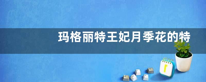 玛格丽特王妃月季花的特点（属于藤本还是灌木月季）