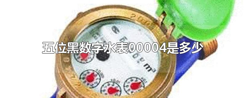 五位黑数字水表00004是多少