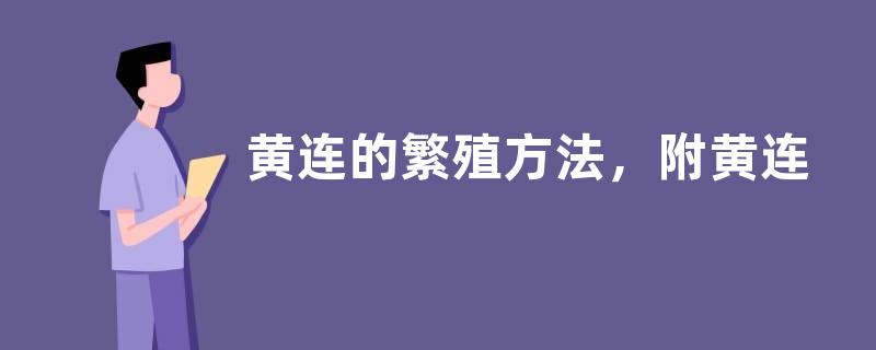 黄连的繁殖方法，附黄连的生长条件