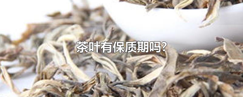 茶叶有保质期吗?
