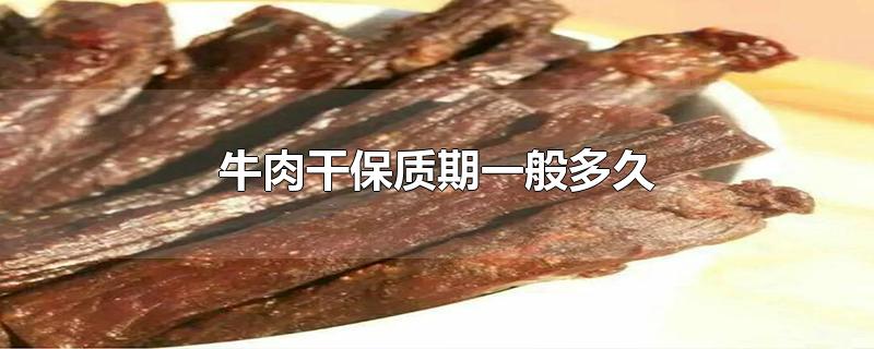 牛肉干保质期一般多久