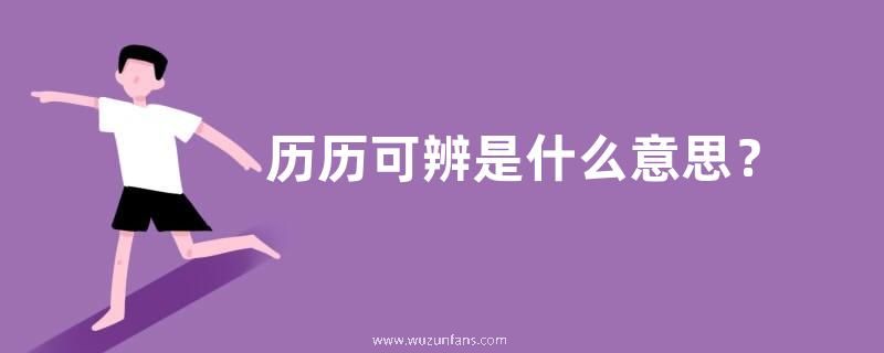 历历可辨是什么意思？