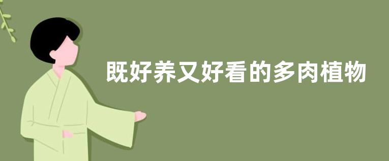 既好养又好看的多肉植物是哪种（哪些多肉适合种在一起）