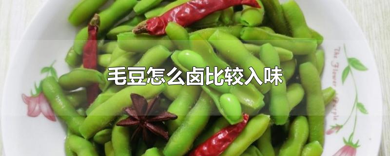 毛豆怎么卤比较入味