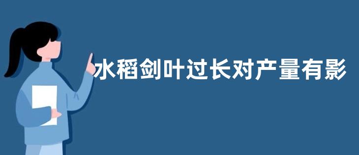 韭菜花的花可以吃吗