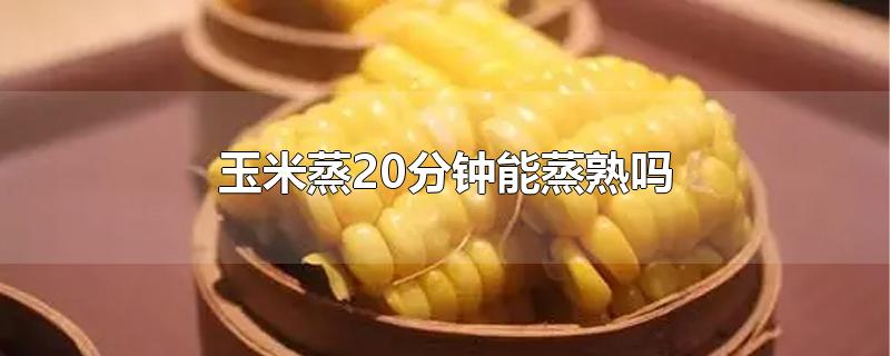 玉米蒸20分钟能蒸熟吗