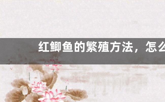 红鲫鱼的繁殖方法，怎么养