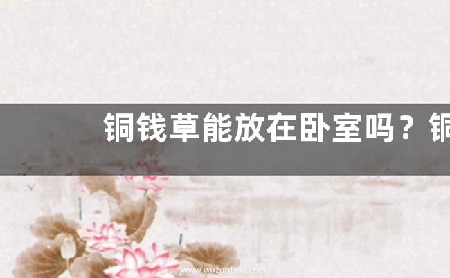 铜钱草能放在卧室吗？铜钱草真的有毒吗