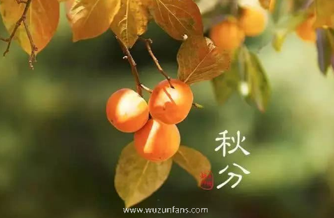 2021年秋分时天气还热吗