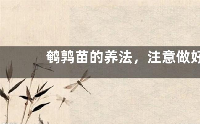 鹌鹑苗的养法，注意做好病虫害防治工作