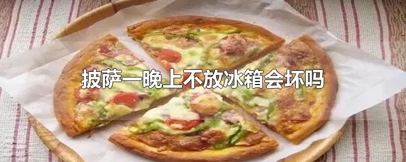 披萨一晚上不放冰箱会坏吗