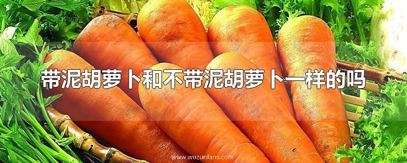带泥胡萝卜和不带泥胡萝卜一样的吗