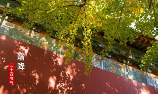 霜降节气特点 霜降节气有什么特点