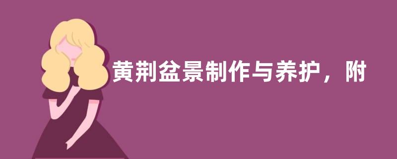 黄荆盆景制作与养护，附黄荆盆景如何取材