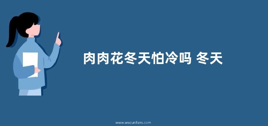 肉肉花冬天怕冷吗 冬天放阳台上会冻死吗