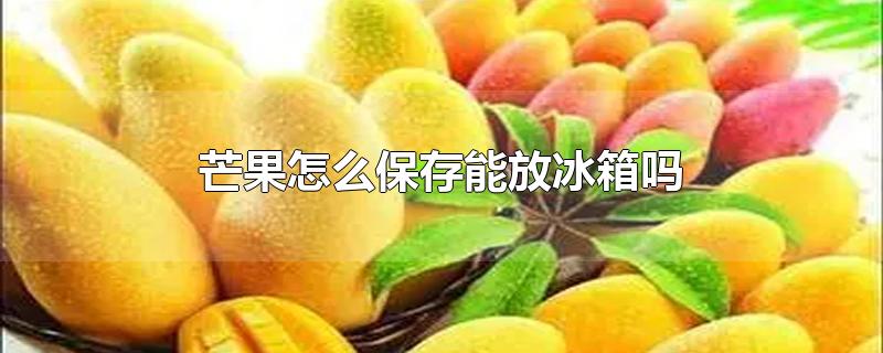 芒果怎么保存能放冰箱吗