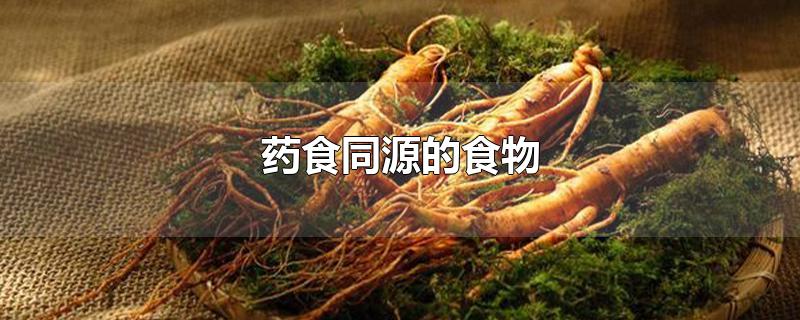 药食同源的食物