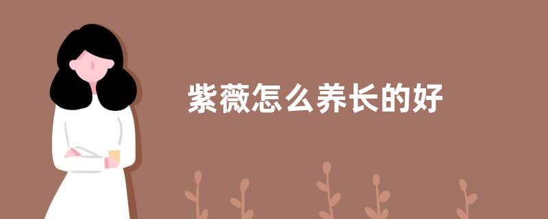 紫薇怎么养长的好