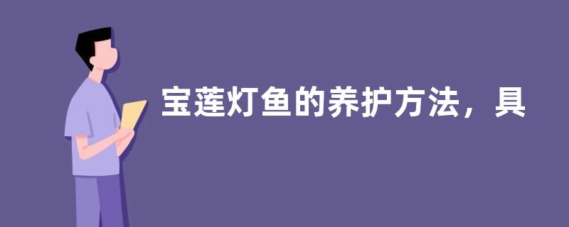 宝莲灯鱼的养护方法，具体有哪些要点