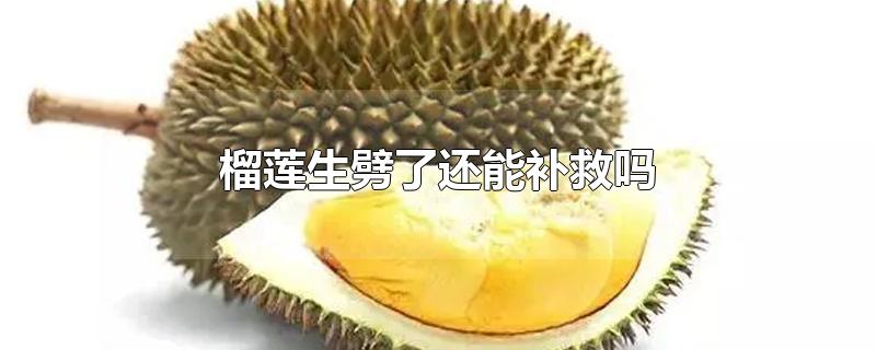 榴莲生劈了还能补救吗