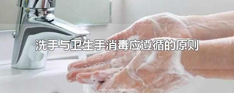 洗手与卫生手消毒应遵循的原则