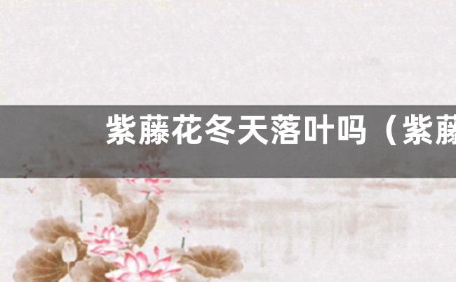 紫藤花冬天落叶吗（紫藤常绿还是落叶）