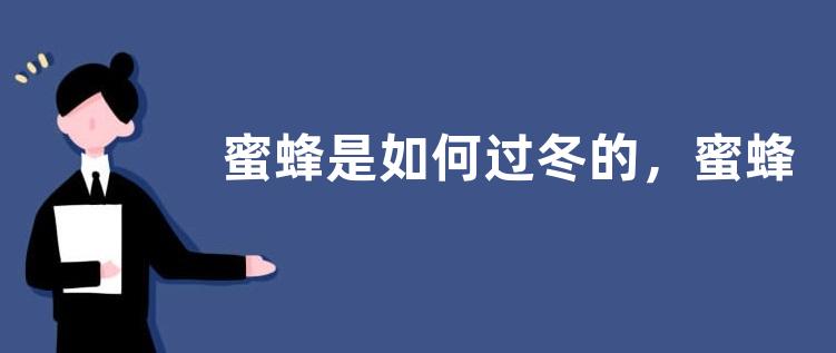 蜜蜂是如何过冬的，蜜蜂越冬的注意事项有哪些