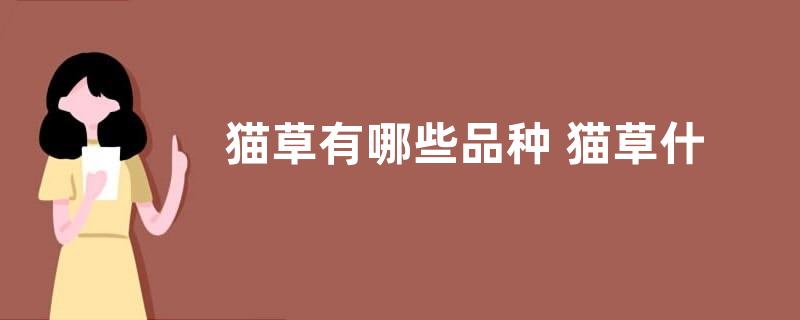 猫草有哪些品种 猫草什么品种最好
