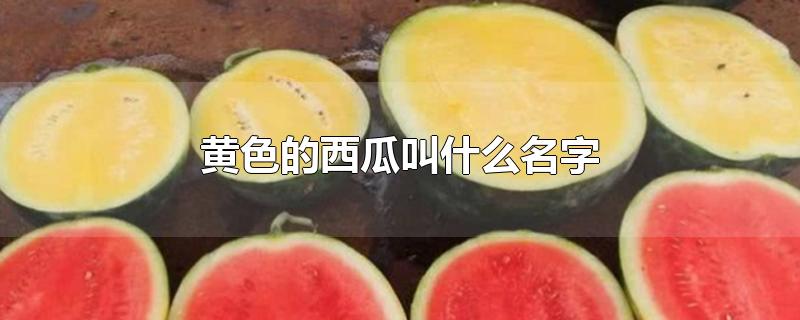 黄色的西瓜叫什么名字