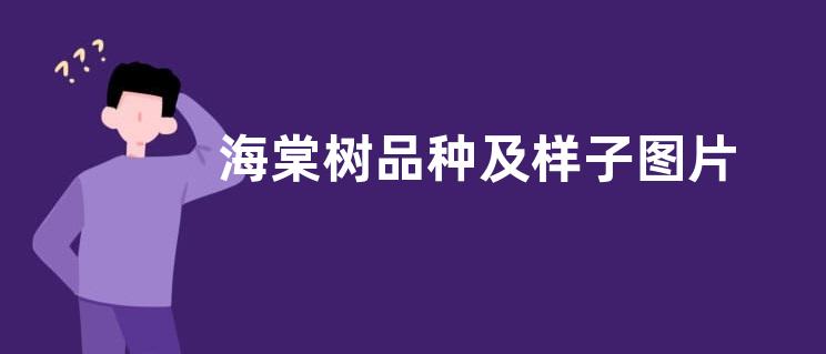 海棠树品种及样子图片 哪种海棠树最好看