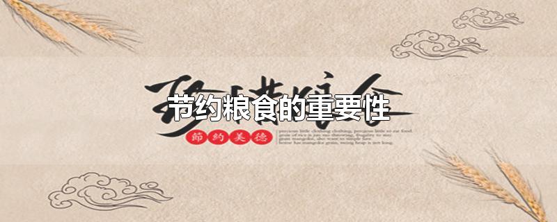 节约粮食的重要性