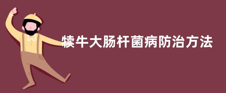 犊牛大肠杆菌病防治方法 ，附发病原因