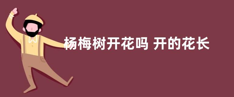 杨梅树开花吗 开的花长什么样子