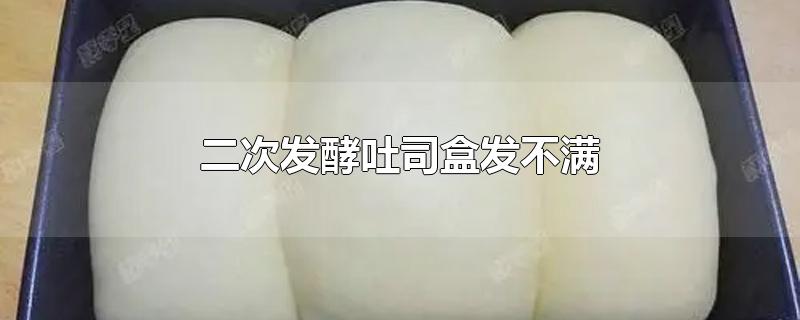 二次发酵吐司盒发不满
