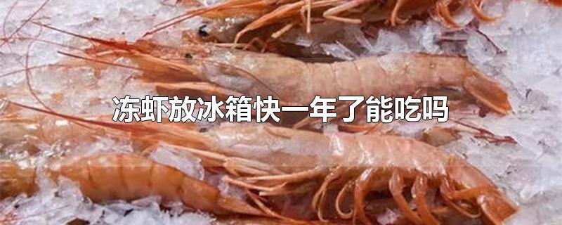 冻虾放冰箱快一年了能吃吗