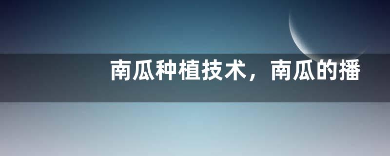南瓜种植技术，南瓜的播种时间