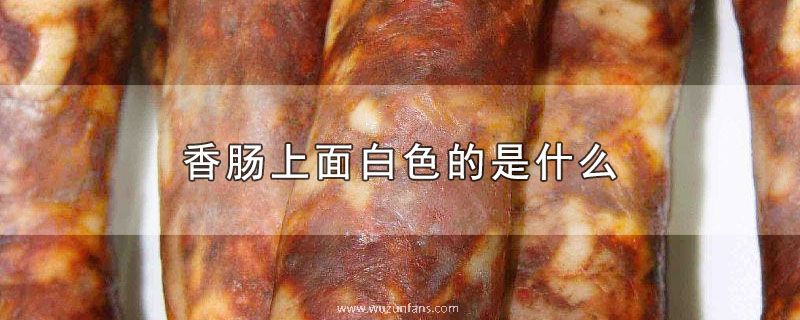 香肠上面白色的是什么