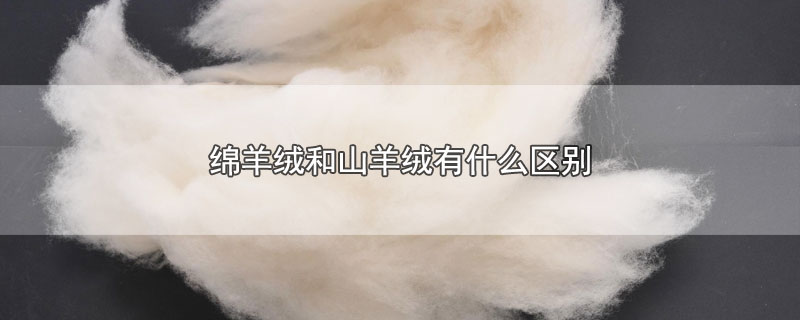 绵羊绒和山羊绒有什么区别