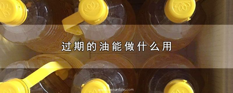 过期的油能做什么用