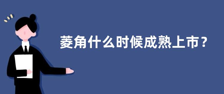 菱角什么时候成熟上市？多少钱一斤，有哪些种类