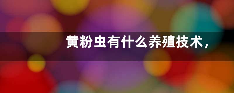 黄粉虫有什么养殖技术，详细如下