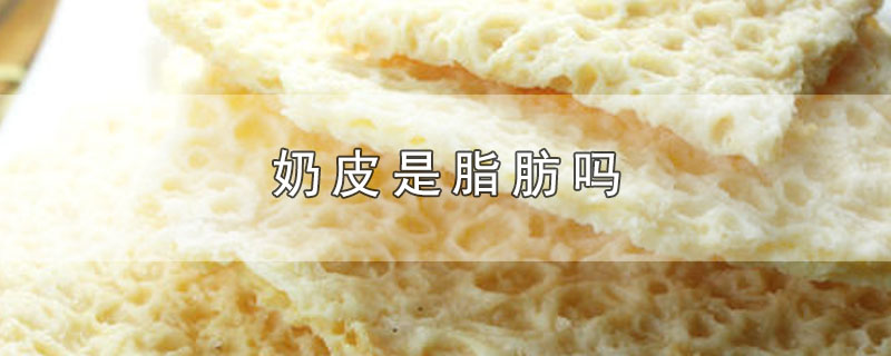 奶皮是脂肪吗