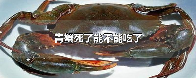 青蟹死了能不能吃了