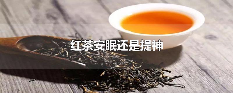 八爪鱼最简单的吃法
