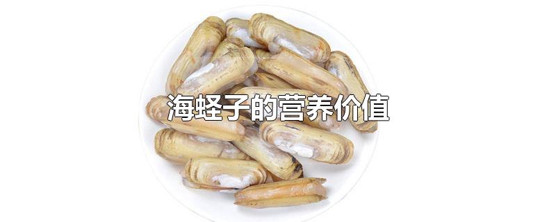 海蛏子的营养价值